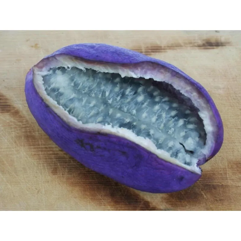 Semințe de akebia cu trei frunze (Akebia trifoliata)