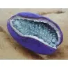 Semințe de akebia cu trei frunze (Akebia trifoliata)