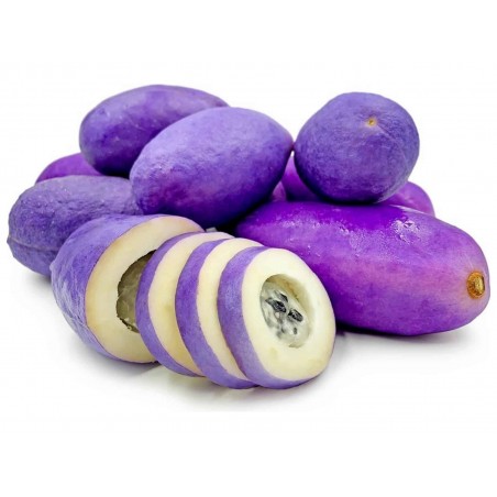 Price: €2.45 - Akebie Seme (Akebia trifoliata) -