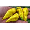 Price: €1.95 - Sementes de pimentão Habanero Hot Lemon - Limão - 