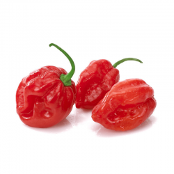 Σπόροι Habanero Savina Red Τσίλι - πιπέρι 2.45 - 3