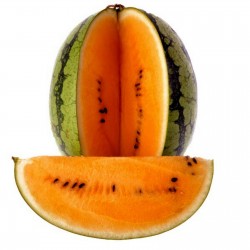 Semillas de Sandia Naranja "Tendersweet" 1.95 - 3