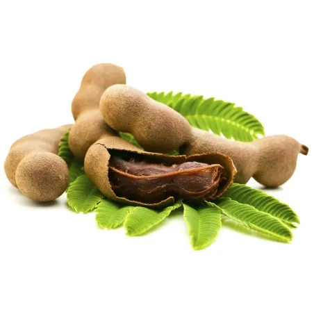 Tamarindenbaum Samen (Tamarindus indica)