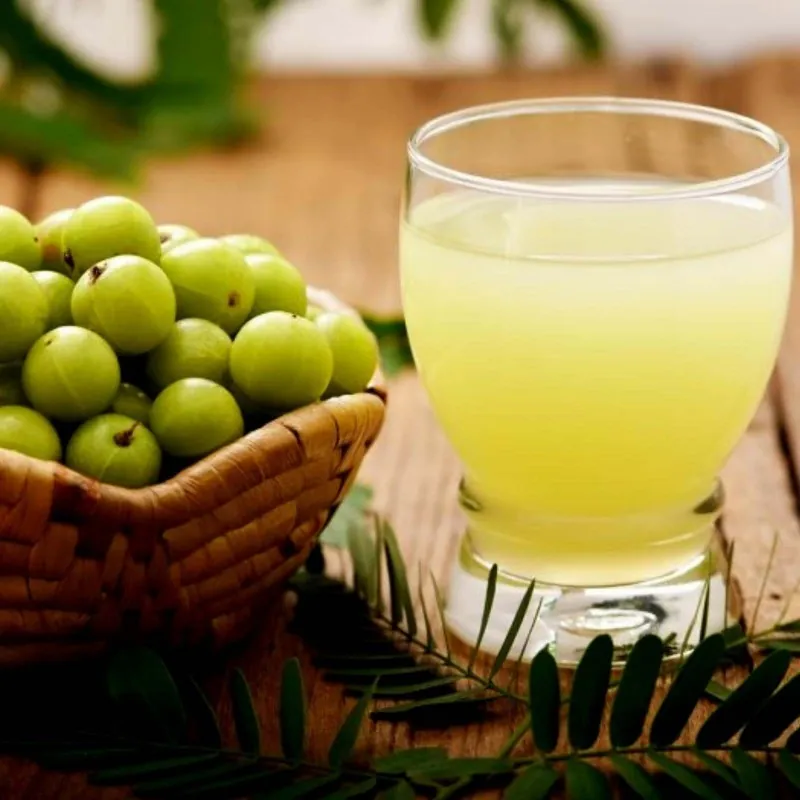 Semi di uva spina indiana Amla