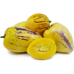 Price: €2.95 - Sementes de Pera-melão, Melão-andino - Seeds Gallery