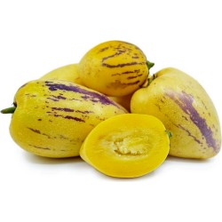 Semi di Pepino (Solanum muricatum) 2.55 - 6