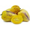 Price: €2.95 - Birnenmelone Pepino Samen (Solanum muricatum) - Seeds Gallery