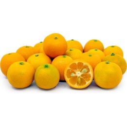 Calamansi, Calamondin, Philippine lime Seeds - 580.583396