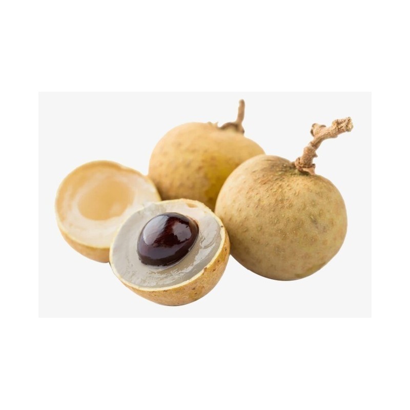 Price: €5.5 - Semillas Longuián u Ojo de dragón (Dimocarpus longan) - 