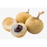 Price: €5.5 - Longan, Drachenauge Samen (Dimocarpus longan) - 