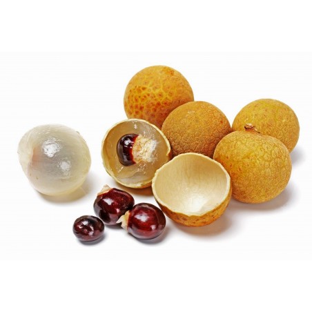 Price: €5.5 - Longan, Drachenauge Samen (Dimocarpus longan) -