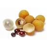Dragon eye, Longan Seeds (Dimocarpus longan)