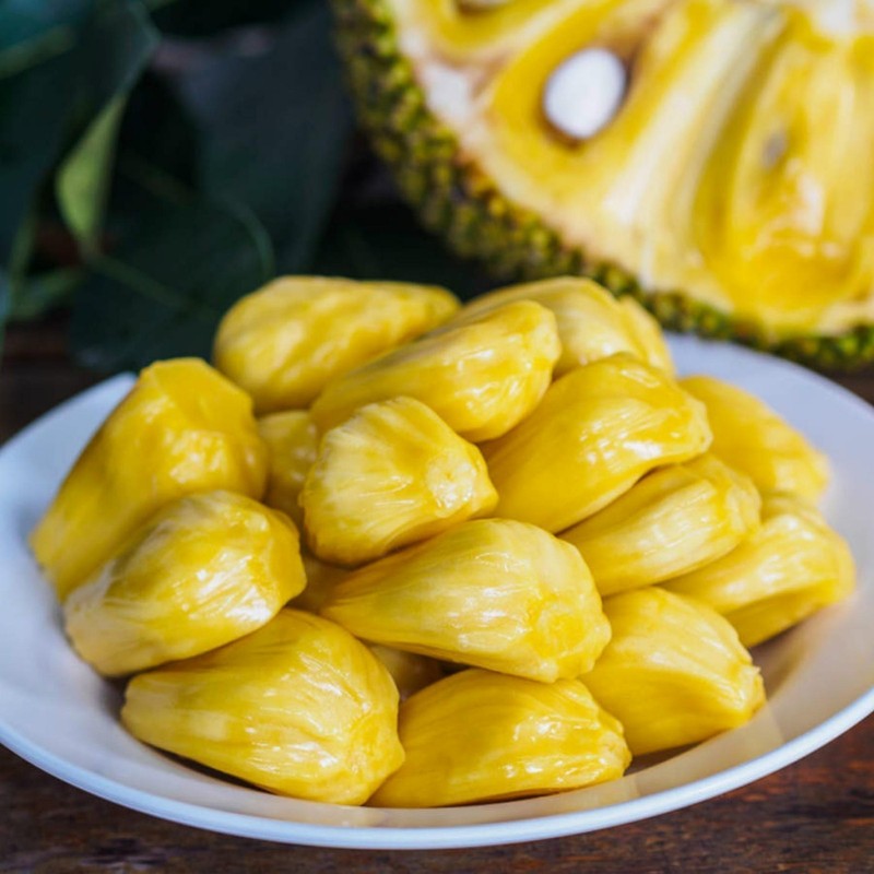 Jackfrukt Frön (Artocarpus heterophyllus) | 5,00 €