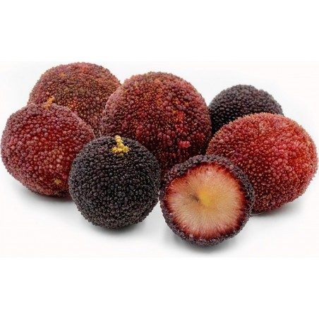 Price: €3.5 - Sementes De Yangmei, Morango Chinês - 