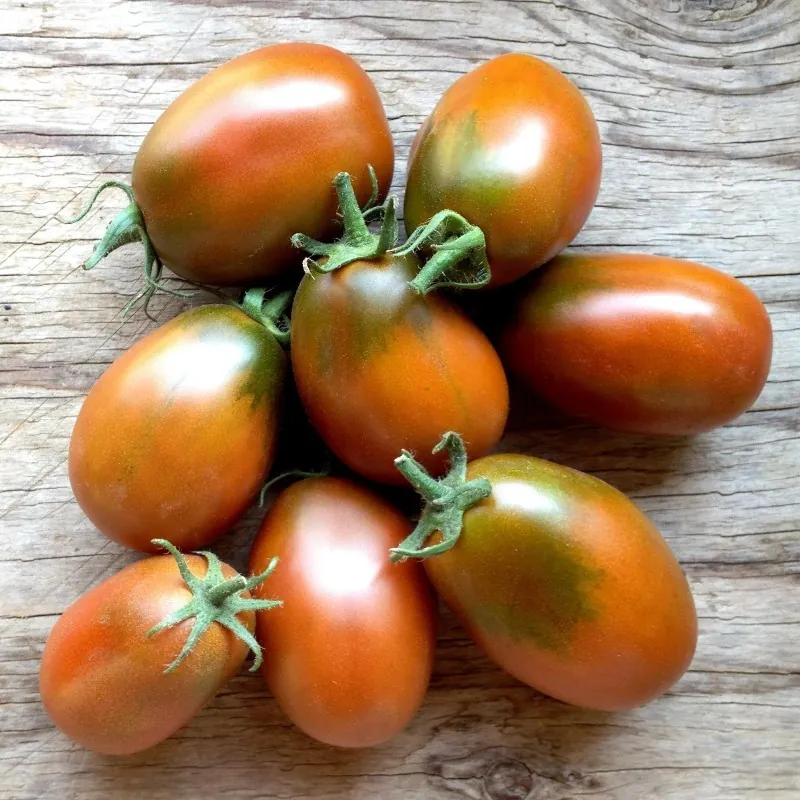 Graines de tomate Prune Noire - Black Plum