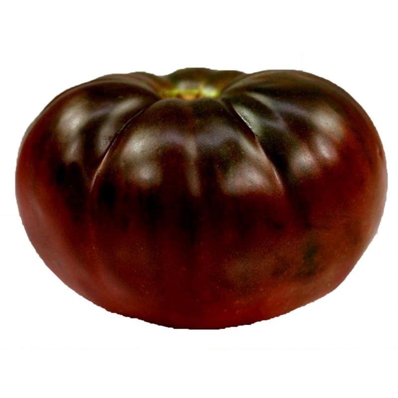 50 seeds-Black-potato seeds-graines-semi Tomato BRANDYWINE BLACK