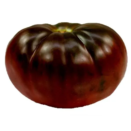 Graines de tomate ancienne noire Brandywine Black