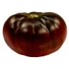 Semi di pomodoro nero Brandywine Black