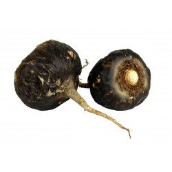 Black Maca Organic Seeds (Lepidium meyenii) Aphrodisiac 2.049999 - 1