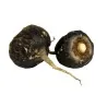 Graines de Maca Noir (Lepidium meyenii)