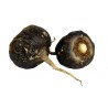 Price: €2.049999 - Schwarze Maca Samen (Lepidium meyenii) - 