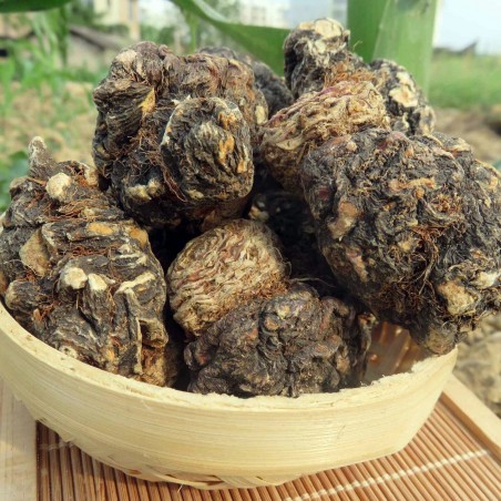 Price: €2.049999 - Schwarze Maca Samen (Lepidium meyenii) - 