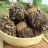 Schwarze Maca Samen (Lepidium meyenii)