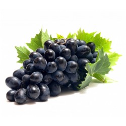 Sementes uva preta - o fruto da videira 1.55 - 1