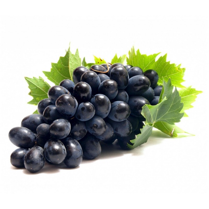 Schwarze Weintraube Samen (vitis vinifera) 1.55 - 1