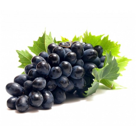 Price: €1.95 - Sementes uva preta - o fruto da videira -