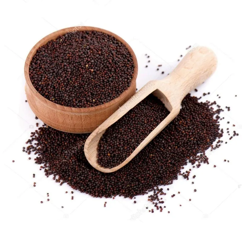 Semințe de Muștar negru (Brassica Nigra)