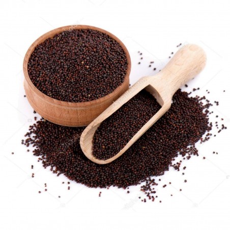 Price: €1.45 - Graines de Moutarde noire (Brassica nigra) - Seeds Gallery