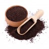 Price: €1.45 - Graines de Moutarde noire (Brassica nigra) - Seeds Gallery