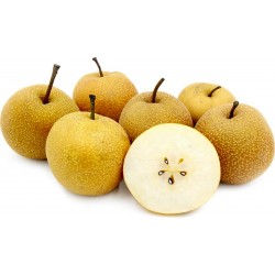 Price: €3 - Azijska Kruska Seme (Pyrus pyrifolia) Chinese Sand Pear - 