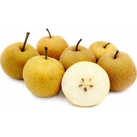 Price: €3 - Sandpäron Frön (Pyrus pyrifolia) frosten hardy -