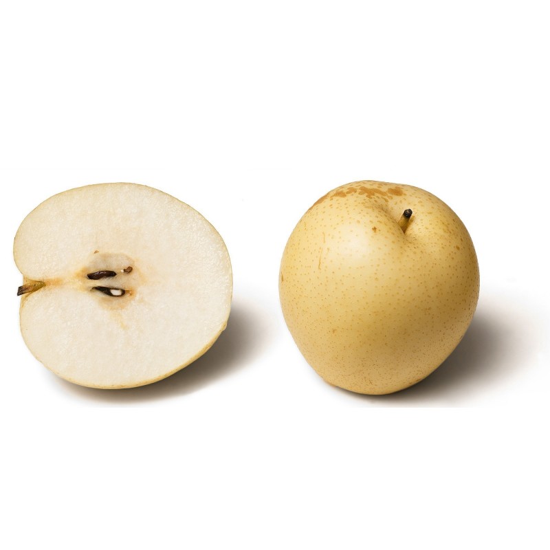 Price: €3 - Sandpäron Frön (Pyrus pyrifolia) frosten hardy - 