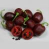 Price: €2.5 - Σπόροι Τσίλι-πιπέρι Rocoto Manzano Brown - Seeds Gallery