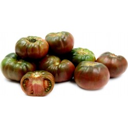 Sementes de Tomate Black Krim 1.85 - 4