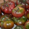 Black Krim Tomaten Samen