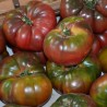 Sementes de Tomate Black Krim