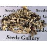 Price: €2.45 - Peruvian Black and White Chulpe Corn Seeds - 