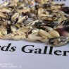 Price: €2.45 - Peruvian Black and White Chulpe Corn Seeds - 