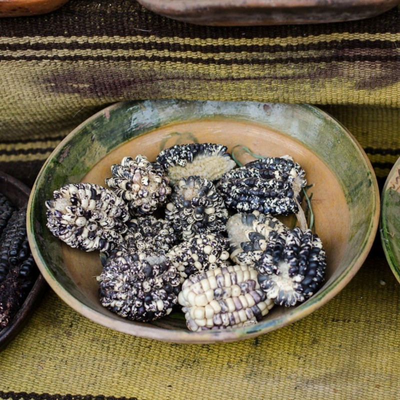 Röstmais - Mais der Anden Schwarz-Weiss Chulpe Samen