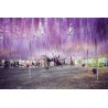 Price: €3 - Graines de Glycine de Chine bleue - Seeds Gallery