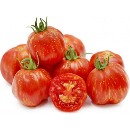 Price: €1.75 - Semillas de tomate Striped Stuffer - Seeds Gallery