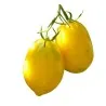 Citrontomatfrön (Lemon Plum)
