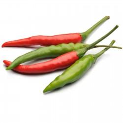 Σπόροι Rawit τσίλι (Capsicum frutescens) 1.95 - 4