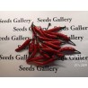 Price: €1.95 - Σπόροι Rawit τσίλι (Capsicum frutescens) - 