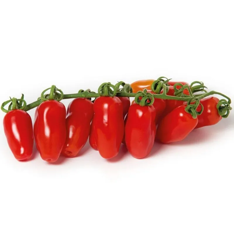 Mini San Marzano Yellow and Red Tomato Seeds