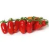 Mini San Marzano Yellow and Red Tomato Seeds